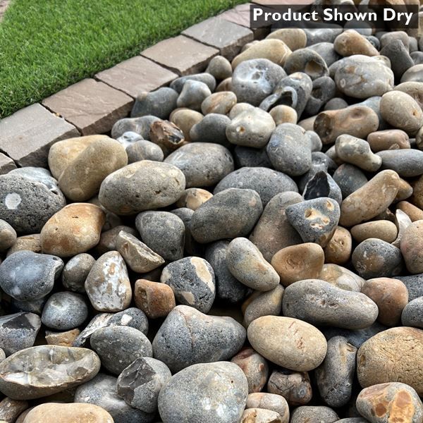 50-100mm Lydd Beach Oyster Cobbles