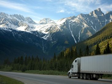 Dedicated Road Courier Freight Services