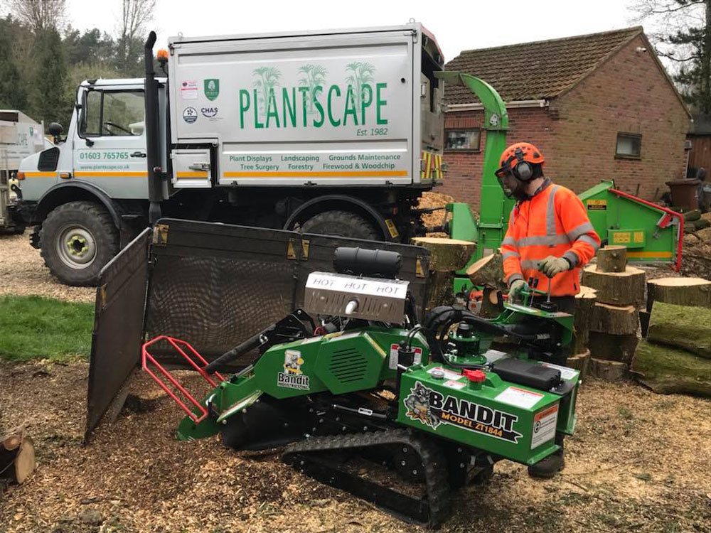 Professional Tree Stump Grinding Services Eaton