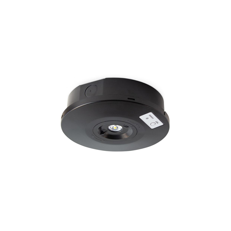 Collingwood Salvus Round Emergency Surface Spotlight Black