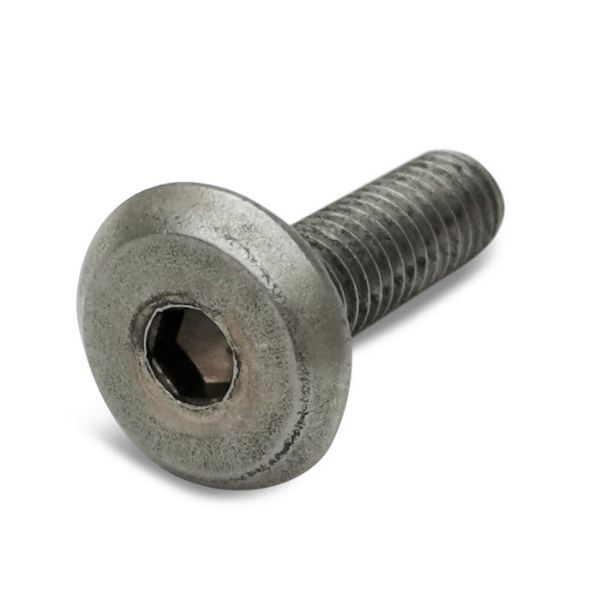 M6x20mm Furniture Connector Bolt Stainless