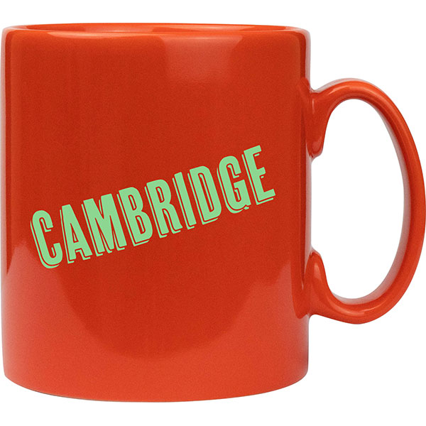 Cambridge Mug - Coloured