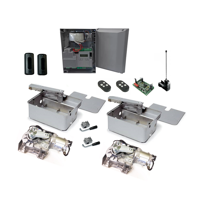CAME Frog AE&#45;P 24 Kit with Stainless Steel Foundation Boxes