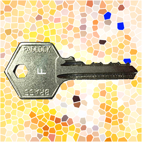 ASEC Padlock Key F