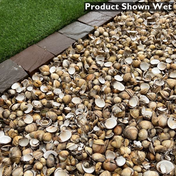 Cockle Shell Mulch
