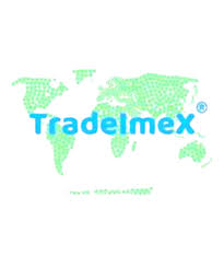 TradeImex Info Solution Pvt Ltd