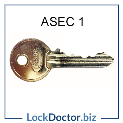 ASEC1 key COPIED TO SAMPLE