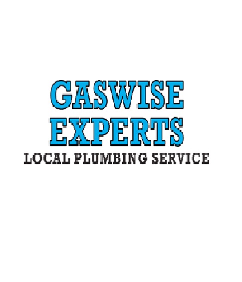 Gaswise Experts
