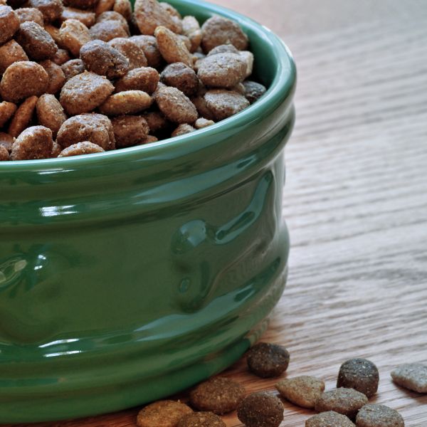 Automated Pet Food Conveying