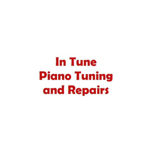 In Tune Piano Tuning and Repairs Hampshire