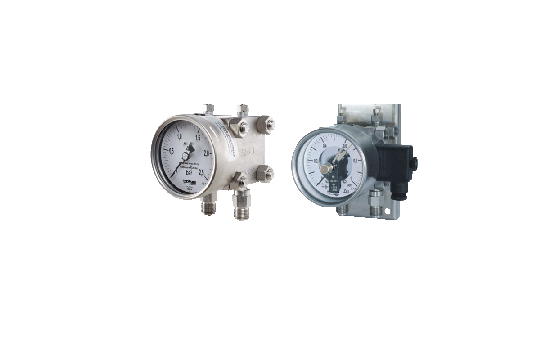 TMP 301 Differential pressure gauge