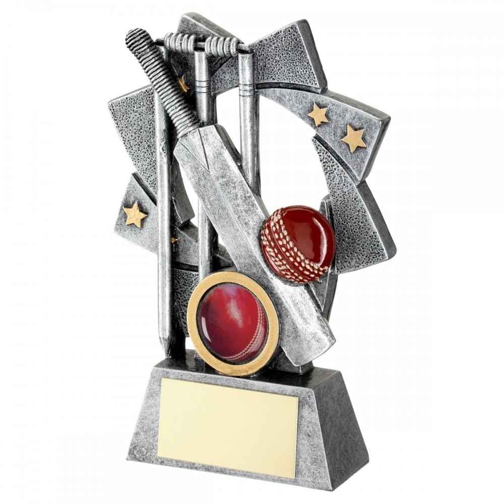 Resin 2 tone Cricket Award - 3 sizes