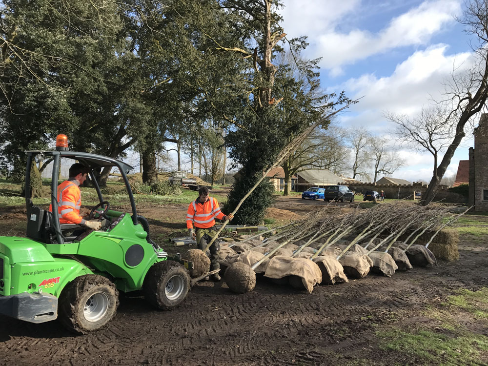 Tree And Hedge Planting