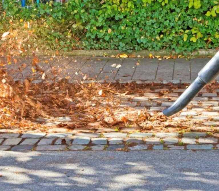 Seasonal Leaf Cleanup Services Norwich