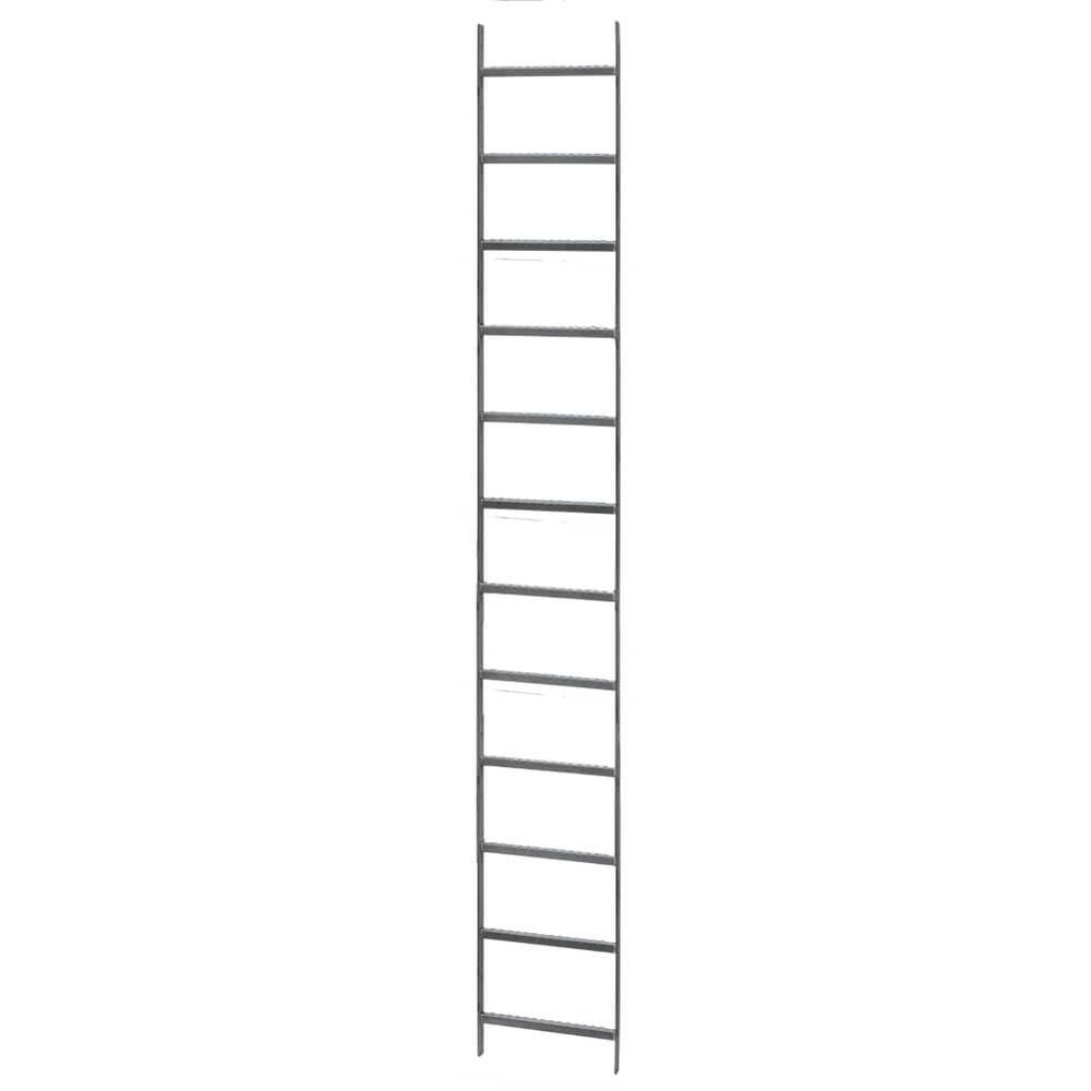 3000mm Long Ladder Section
