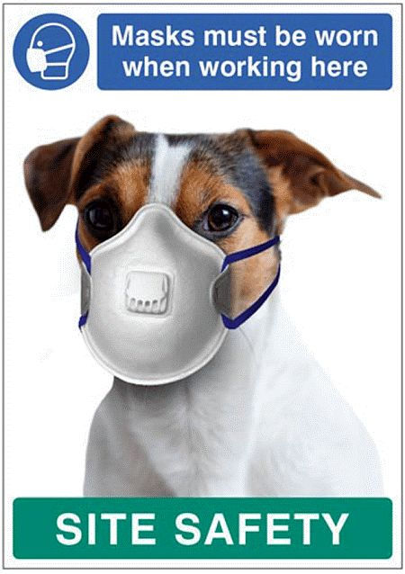 Masks must be worn when working here - dog poster 420x594mm synthetic paper