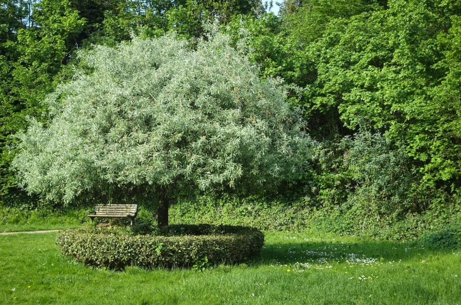 Memorial benches in London&rsquo;s parks