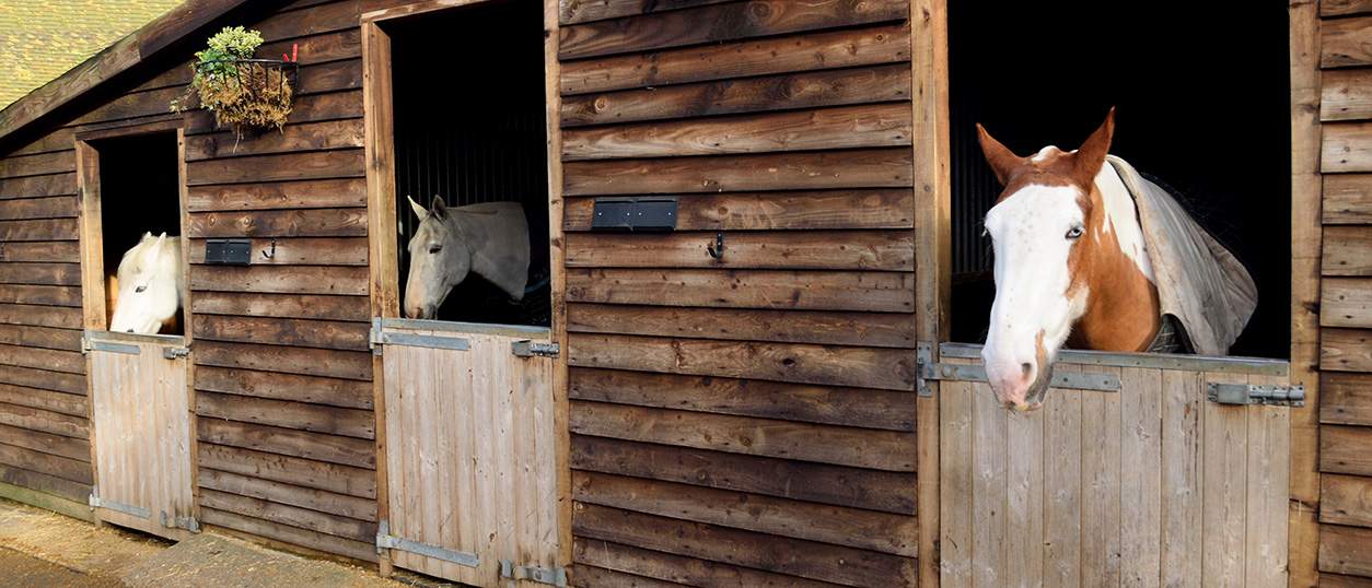 Timber Maintenance for The Winter