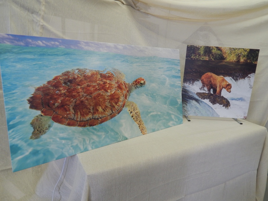 Personalised Picture Infrared Heaters For Living Rooms