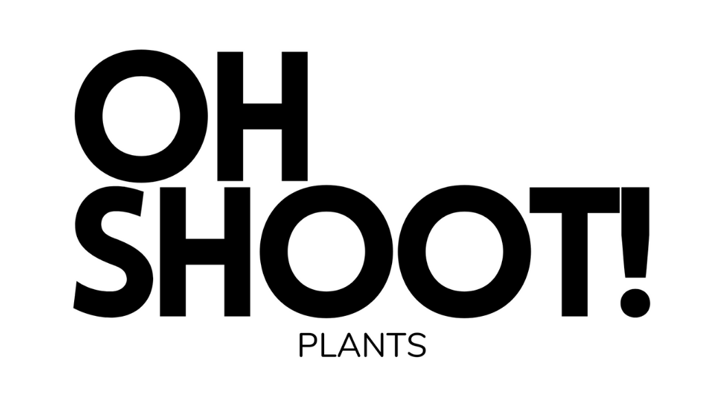 Oh Shoot Plants