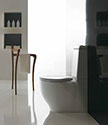 Organic Toilet & Cistern Toilet (9HH)