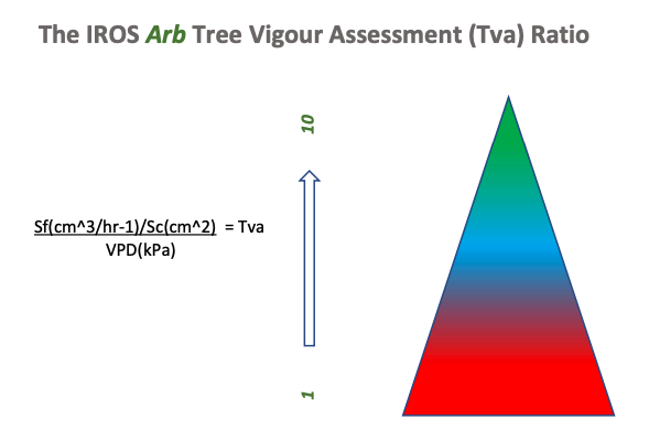 Newly Planted Tree Vigour Services