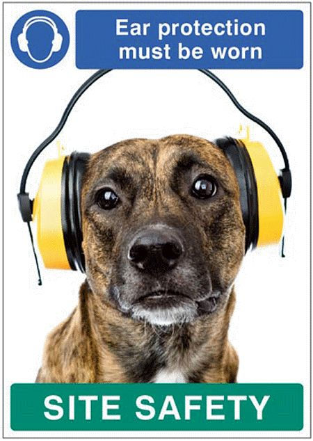 Ear protection must be worn - dog poster 420x594mm synthetic paper