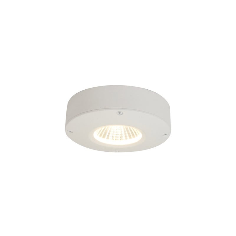 Ansell Calisto LED Wall/Ceiling Light White