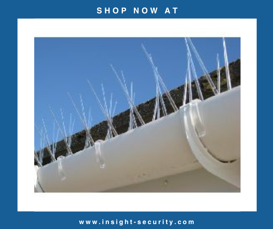 Polycarbonate Pigeon Spikes - Single Strip - Length: 335mm