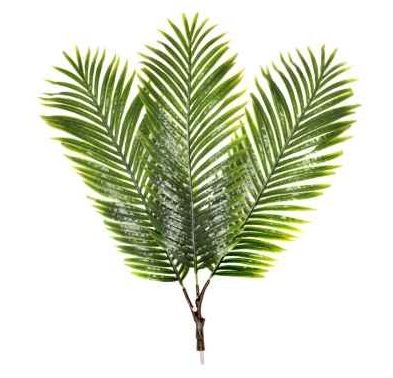 Artificial Silk Palm Frond Branches 10 Pack For Offices