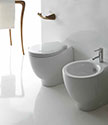 Organic Back to Wall Toilet (9RR)