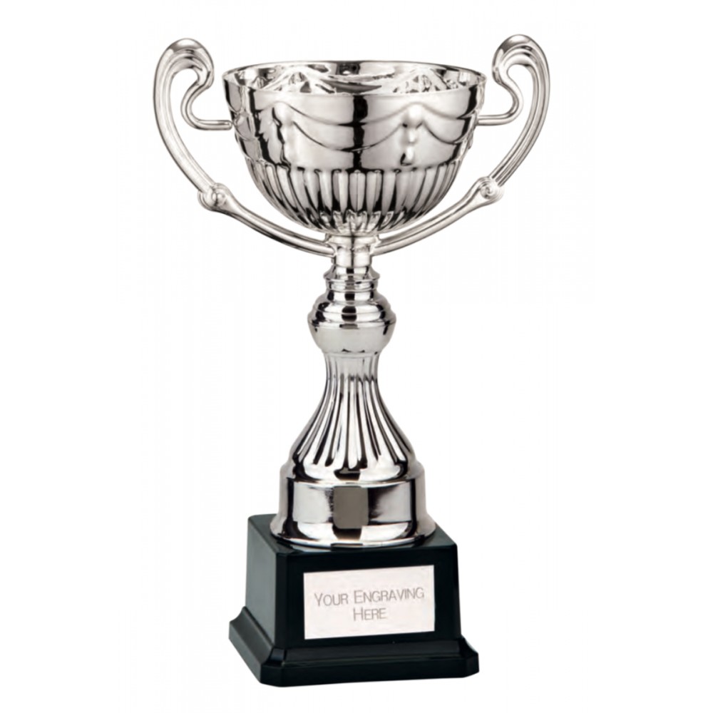 Suppliers Of Endeavour Silver Cup - 4 sizes Hertfordshire