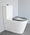 Modern Mobility Close Coupled Toilet (MWC3)