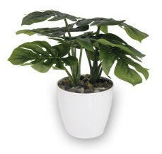 Artificial Hanging Plants Suppliers UK