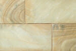 Golden Fossil Natural Paving Stone