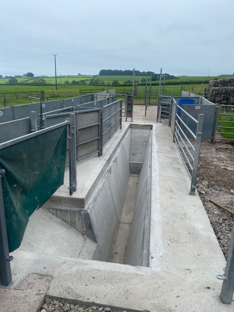 Sheep Dipper Installation For Farms