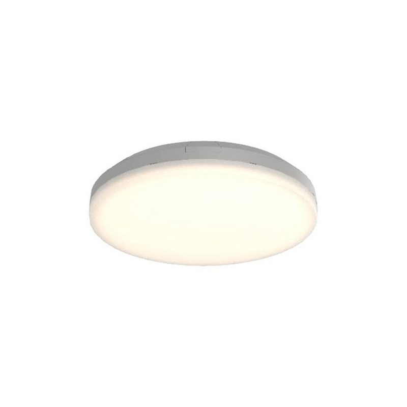 Ansell Mercurial Multi Wattage CCT LED Bulkhead Silver