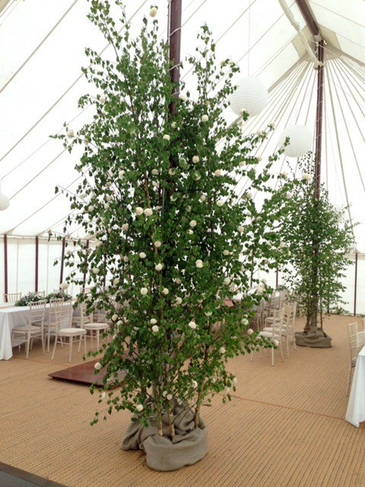 Plant Hire For Events Hethersett