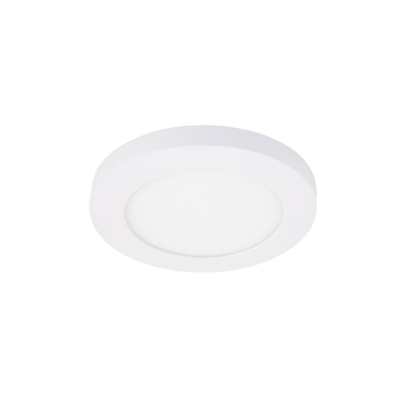 Ovia 6W Downlight With CTA Switch