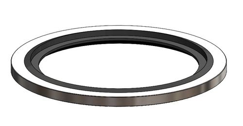 Clean Flow UK Suppliers of Bonded Washer Seal, To Suit BSP Parallel Threads for Fluid Transfer Systems