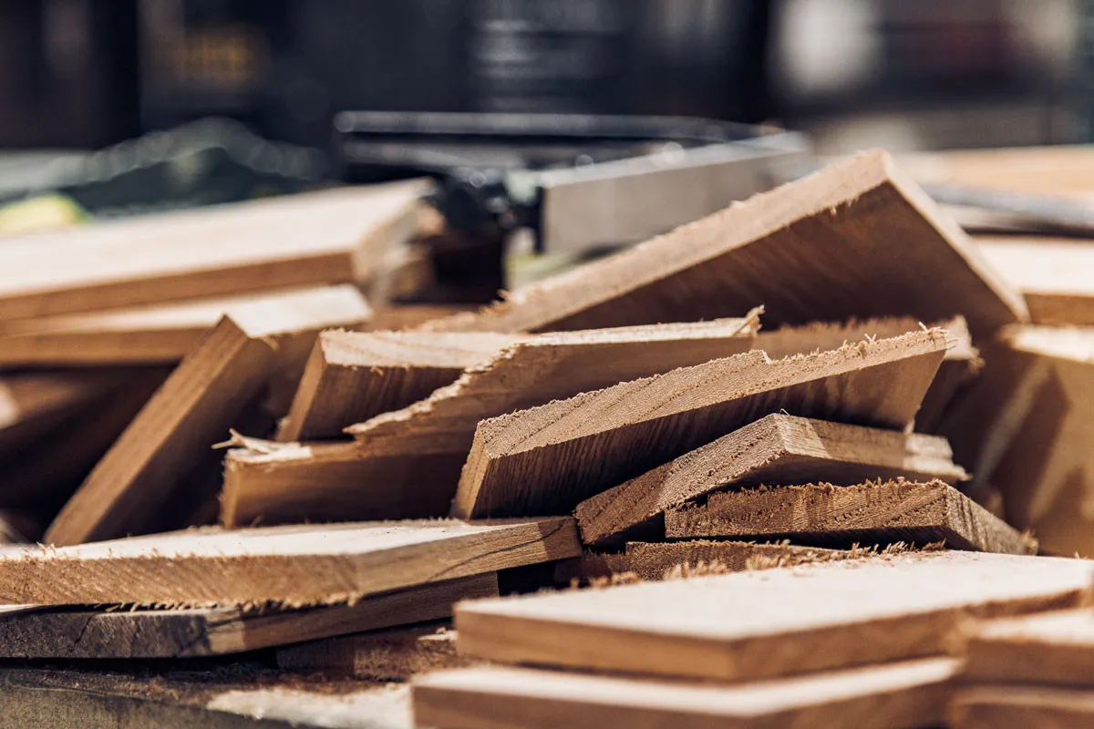 Top 10 Facts About Timber: Everything You Need to Know