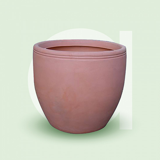 Egg Pot Vase For Public Spaces
