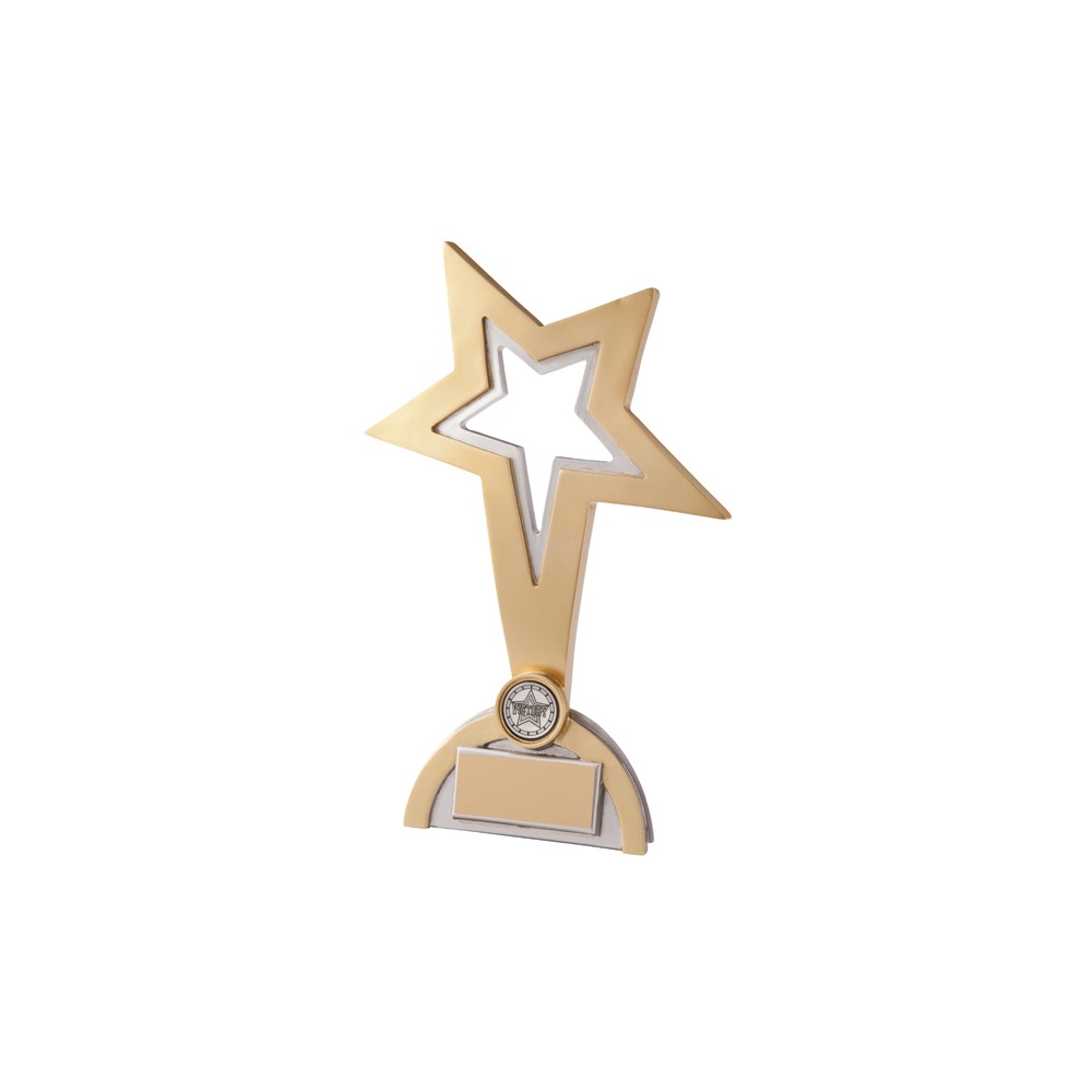 Suppliers Of Classic Gold Star Award Hertfordshire