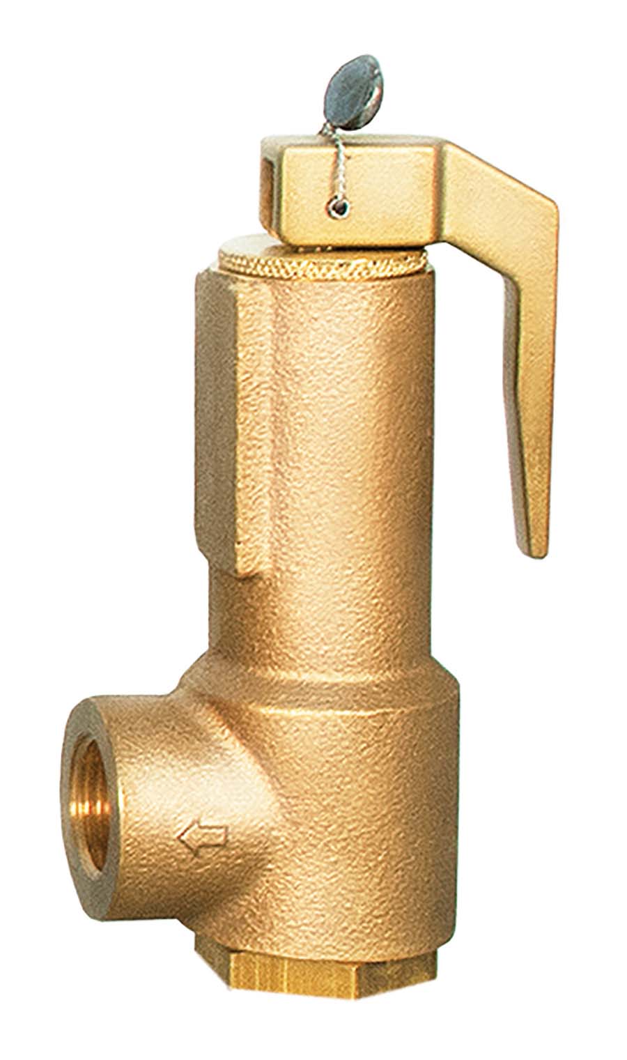 SEETRU LGS&#8482; Bronze Safety Valves DN 15 mm