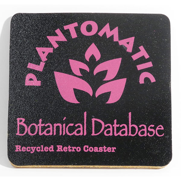 Retro Coaster