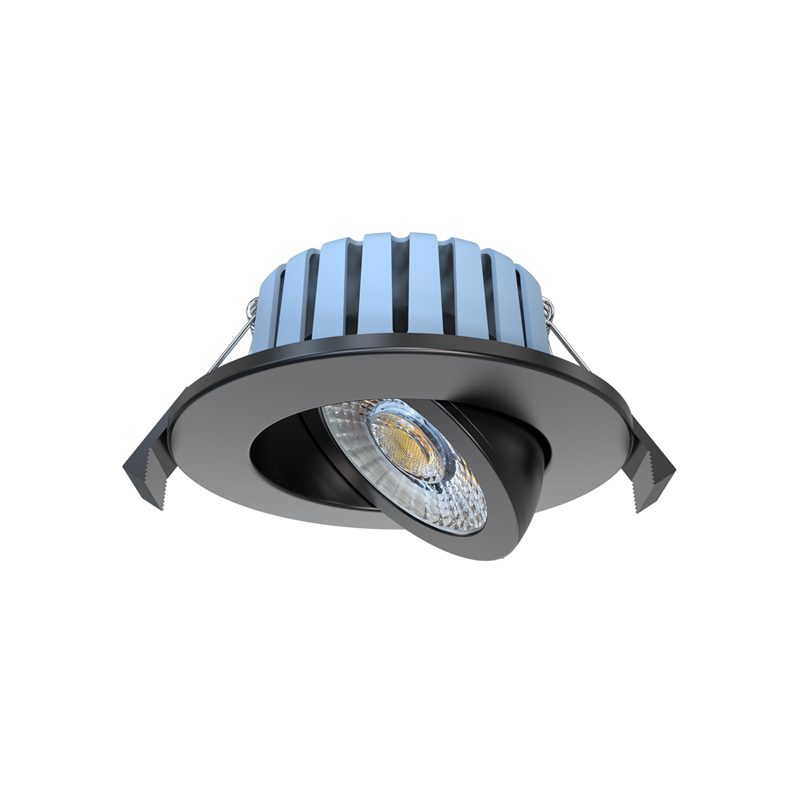 Forum Eden IP65 Adjustable Fire Rated LED Downlight Black