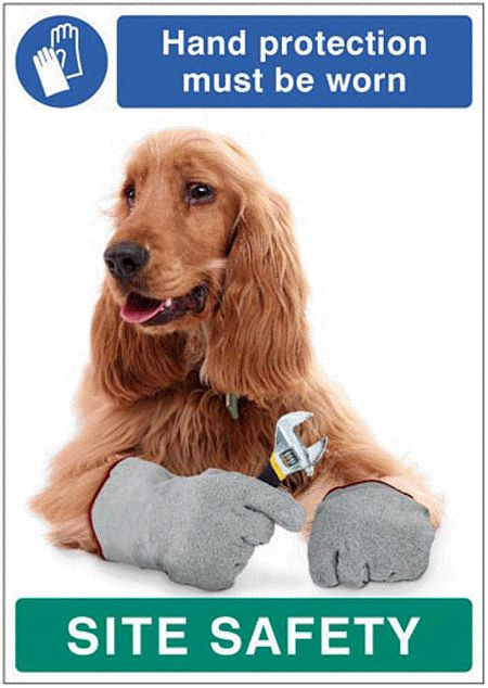 Hand protection must be worn - dog poster 420x594mm synthetic paper