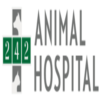 242 Animal Hospital