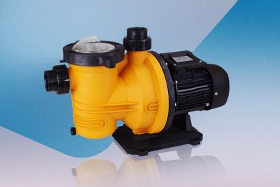 Winter Maintenance Guide for Your Swimming Pool Pump