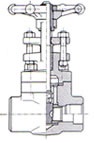 Flanged Ends Petrochemical Class Valves